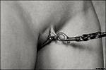 _Blanche_