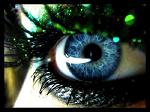 KeLlyDG_DEC_EXC