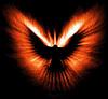 _phoenix_bird